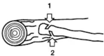GARLAND Bulk 518 E - CORTE DOS GALHOS DE UMA ÁRVORE CAIDA - 1