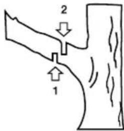 GARLAND Bulk 316 E - CORTE DE UMA GALHO DE UMA ARVORE - 1