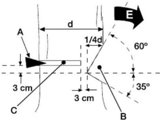 GARLAND Bulk 316 E - FELLING A TREE - 2