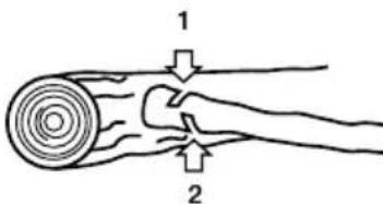 GARLAND Bulk 316 E - TAGLIO DEI RAMI DI UN ALBERO ABBATTUTO - 1