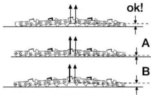 GARLAND Bulk 316 E - 6.3.4.TENTOMA THAAYIAD - 2
