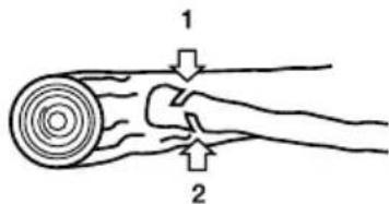 GARLAND Bulk 516 E - CORTE DE LAS RAMAS DE UN ARBOL ABATIDO - 1