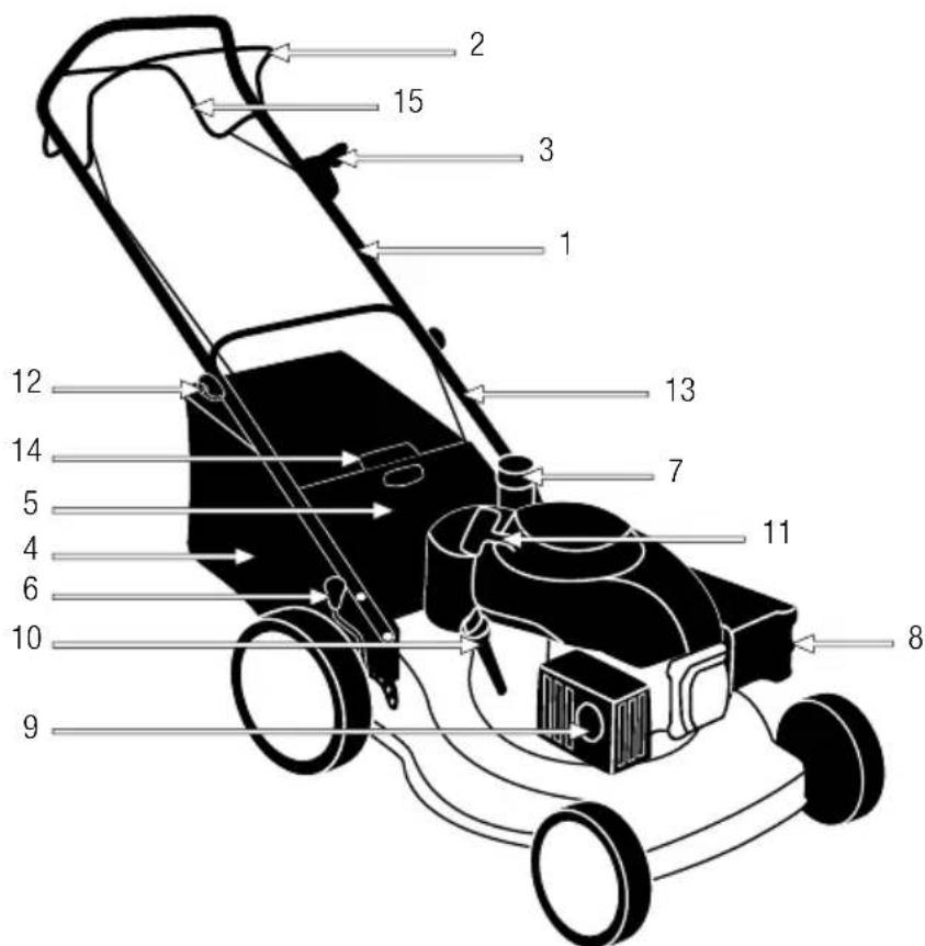 GARLAND Grass First SG - DESCRIZIONE DEL PRODOTTO - 1