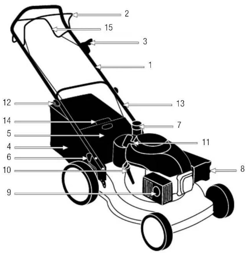 GARLAND Grass First SG - DETAILED DESCRIPTION OF THE PRODUCT - 1