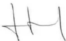 GARLAND Grass 600 LE - DECLARACION DE CONFORMIDAD (CE) - 1