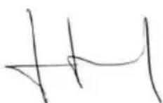 GARLAND Grass 600 LE - DICHIARAZIONE DI CONFORMITA (GE) - 1