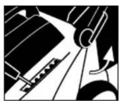 GARLAND Grass 600 LE - MONTAJE - 4