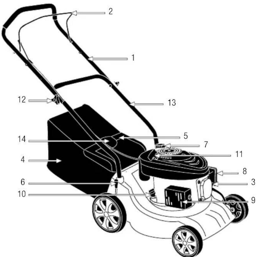 GARLAND Grass First G - 5.2.DESCRIPTION DETAILEDU DU PRODUIT - 1