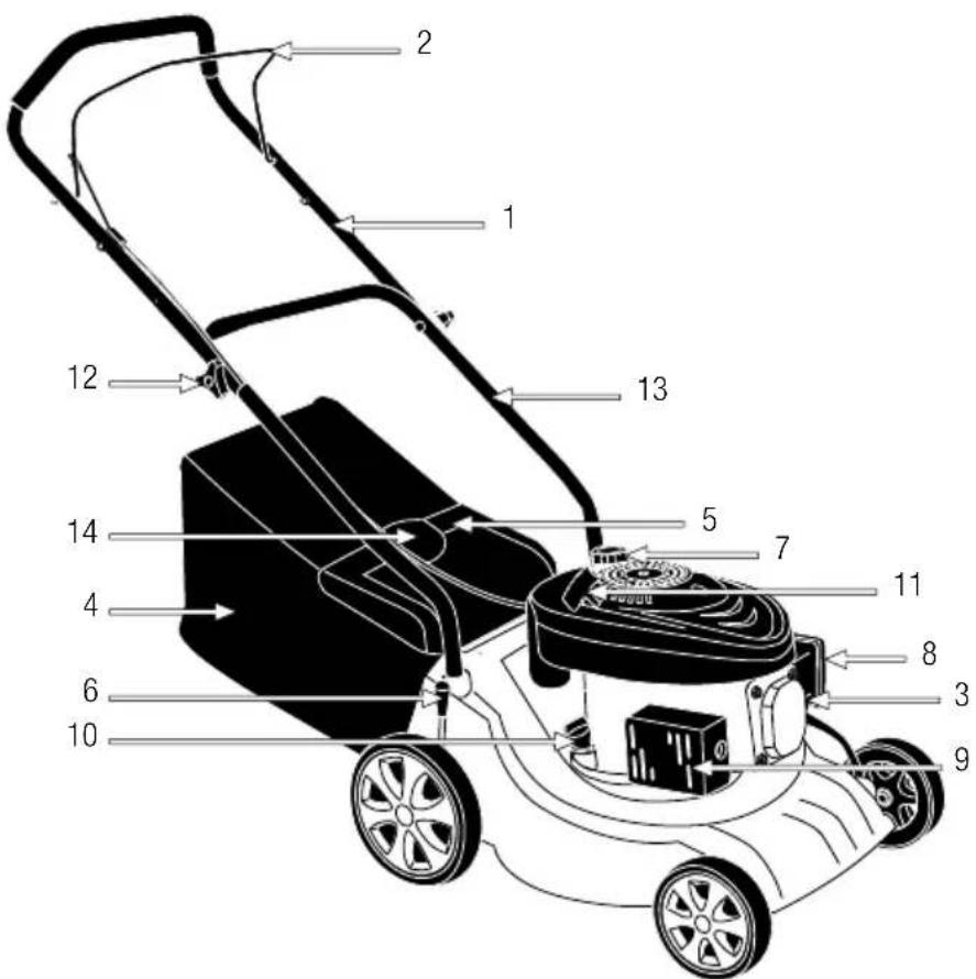 GARLAND Grass First G - DETAILED DESCRIPTION OF THE PRODUCT - 1