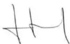 GARLAND Grass First G - DICHIARAZIONE DI CONFORMITA (CE) - 1