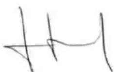 GARLAND Grass First G - DECLARATION OF CONFORMITY (CE) - 1