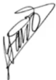 GARLAND Grass 1065 ZSH - DECLARATION OF CONFORMITY (CE) - 1