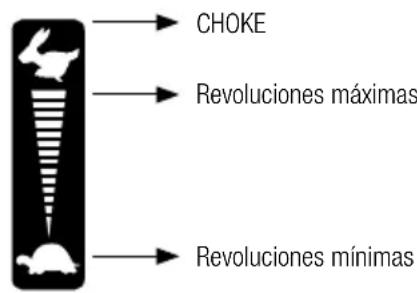 GARLAND Grass 1065 ZSH - ARRANQUE DEL MOTOR EN FRIO - 1