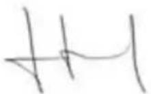 GARLAND Grass 1255 ZSG - DECLARATION OF CONFORMITY (CE) - 2