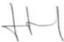 GARLAND Grass 1255 ZSG - DICHIARAZIONE DI CONFORMITÀ (CE) - 2