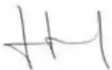 GARLAND Grass 1255 ZSG - Corte mulching: - 2