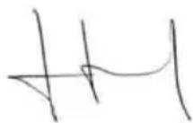 GARLAND Grass 1055 ZSH - DÉCLARATION DE CONFORMITÉ (CE) - 1