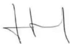 GARLAND Grass 100 LE - DICIHIARAZIONE DI CONFORMITA (CE) - 1