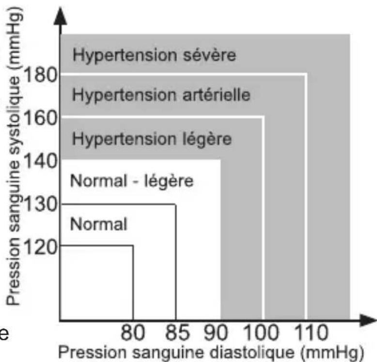 Fysic FB180 - Prise d'une mesure: - 1