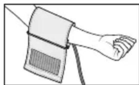 BEURER BM 65 - Colocar el brazalete - 1