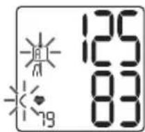 125 125 83 19