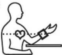 BEURER BC 50 - Performing the blood pressure measurement - 1