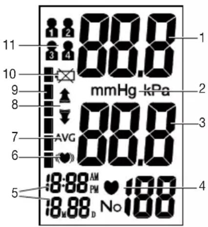 SANITAS SBM 21 - HnkaaHa ducnnee: - 1