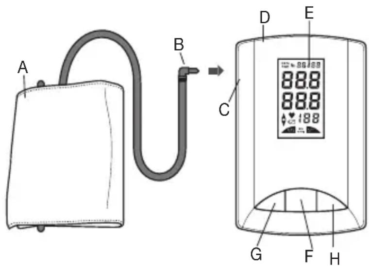 SANITAS SBM 20 - Device description - 1