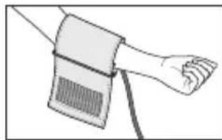 SANITAS SBM 20 - Anlagen der Manschette - 1