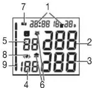 SANITAS SBC 41 - Anzeigen auf dem Display: - 1