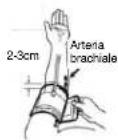 ELTA BM122 - UTILIZZO CORRETTO DELLA FASCIA ELASTICA - 2