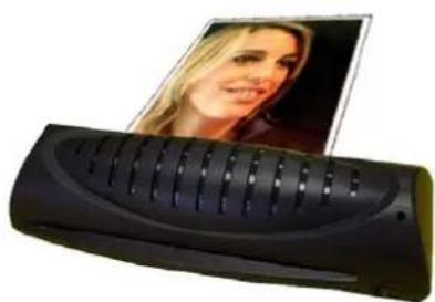 Pavo Fun - CONSIGNES D'UTILISATION - 4