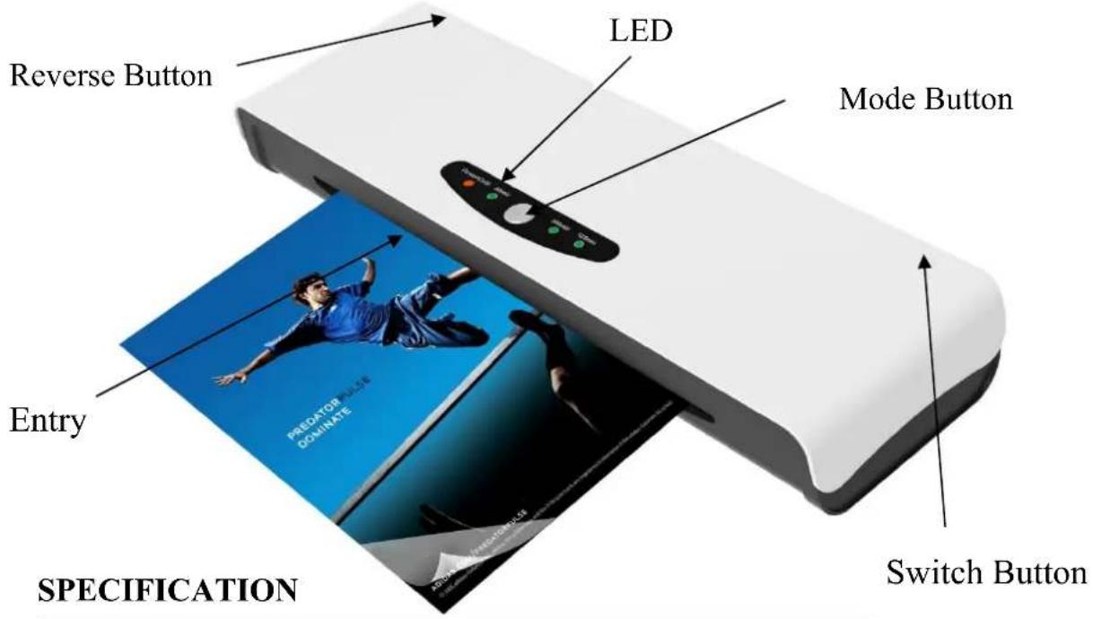 Pavo AlaskaVigo A4 - PRODUCT DESCRIPTION - 1