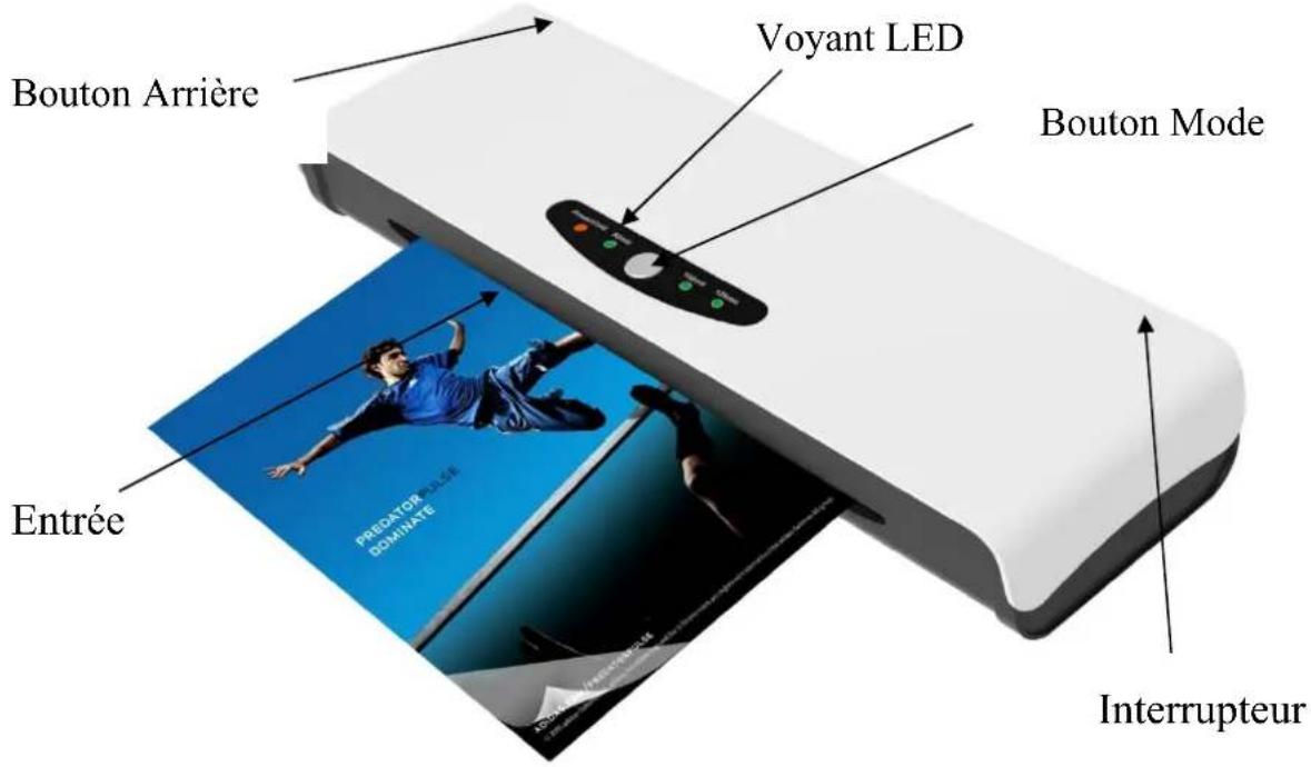 Pavo AlaskaVigo A4 - DESCRIPTION DU PRODUIT - 1