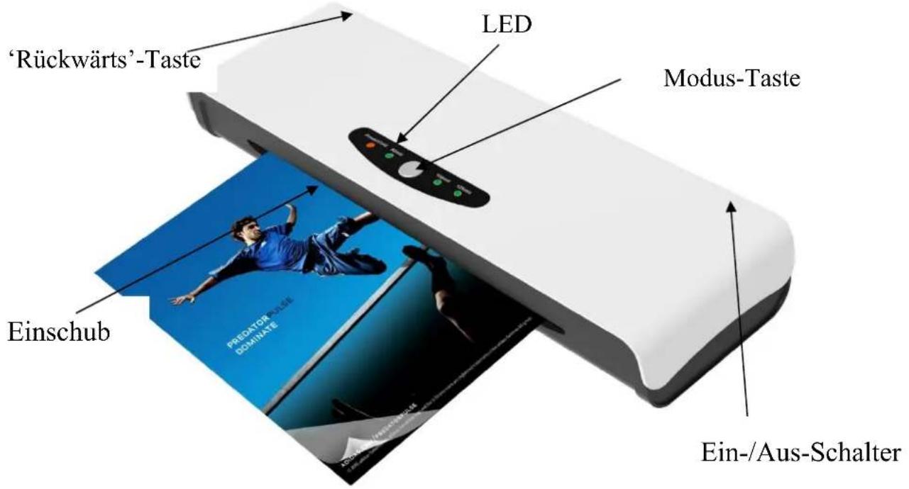 Pavo Alaska Swift A4 - PRODUKTBESCHREIBUNG - 1