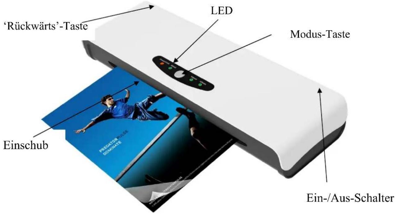 Pavo Alaska Swift A3 - PRODUKTBESCHREIBUNG - 1