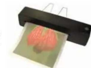 Pavo 1st - INSTRUÇOÉS DE FUNCIONAMENTO - 4