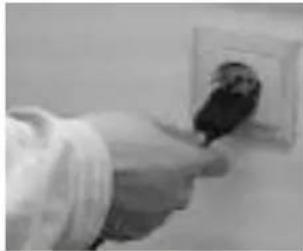 Pavo 1st - INSTRUÇOÉS DE FUNCIONAMENTO - 1