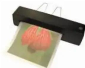 Pavo 1st - CONSIGNES D'UTILISATION - 4