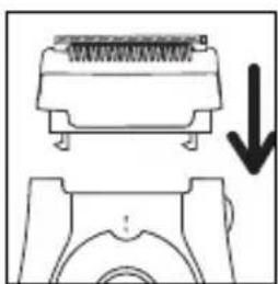 ROWENTA EP4211 - - Operating instructions: - 2