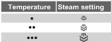 SIEMENS Slider SL20 TS20110 - Ironing with steam - 2