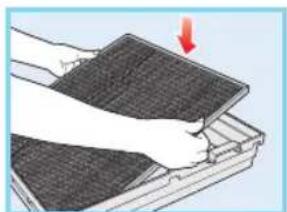 Zepter Therapy Air ION PWC570 - remplacement du filtre à charbon actif (filtre désodorisant AC) - 1