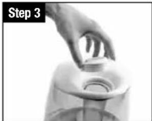 Vicks Filter Free Cool Mist V4600 - Scale Removal directions: - 3