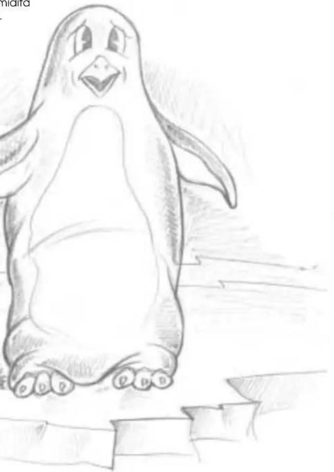Solis Coolmatic 717 - Cosa sono Pinguino e SuperPinguino - 1