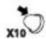 RYOBI RBL42BP - SYMBOLY - 19