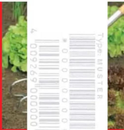 Wolf Garten GT 850 - WOLF Garten - 7