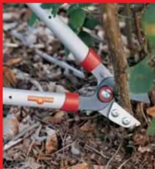 Wolf Garten Campus 350 RT - WOLF Garten - 9