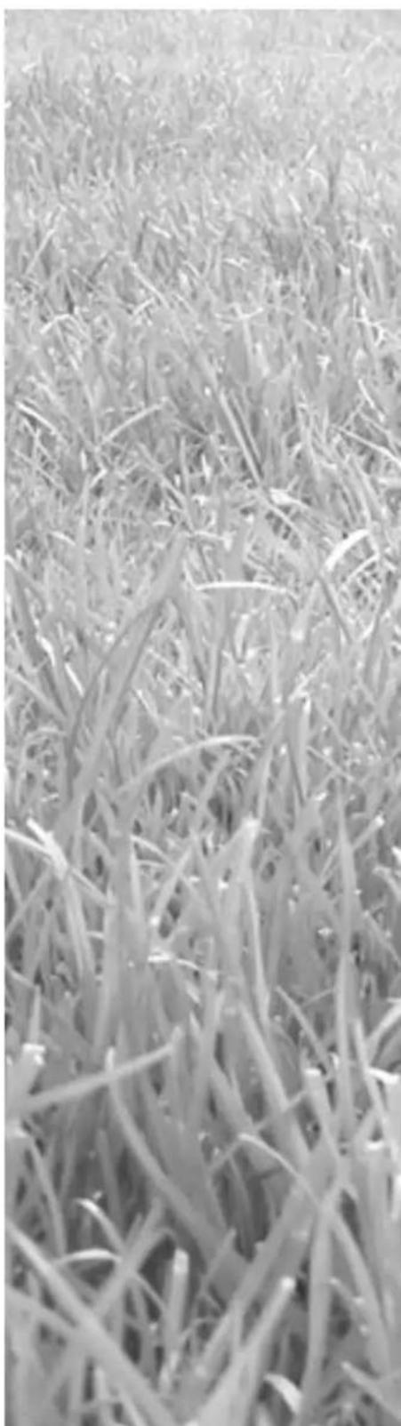 ATIKA RT 400 - Pred vsakim odpravljanjemotnj - 1