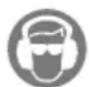 Grizzly ELS 2801 Profi - Simboli riportati sull'apparecchio - 5