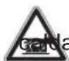 Grizzly BLSB 3030 - Simboli riportati sull'apparec- chio - 7